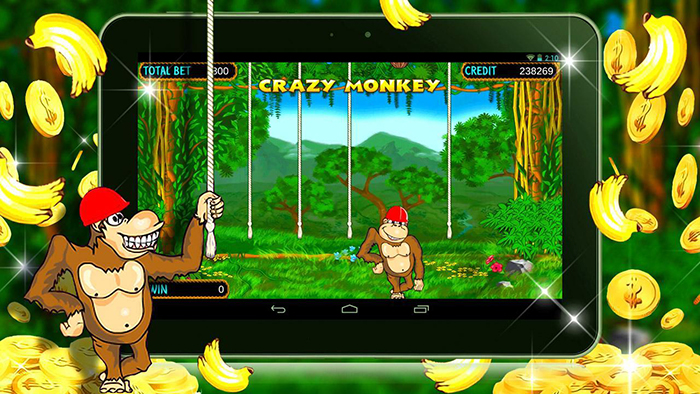Бонусная игра аппарата Crazy Monkey