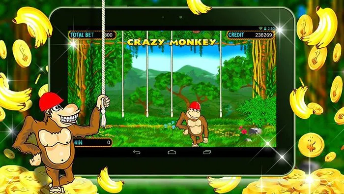 bonus crazy monkey